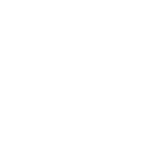 LinkedIn Logo